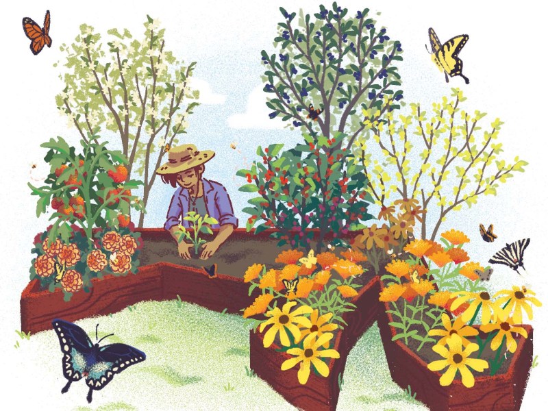 a illustration of a gardener tend to bright flowers and plants while butterflies flit