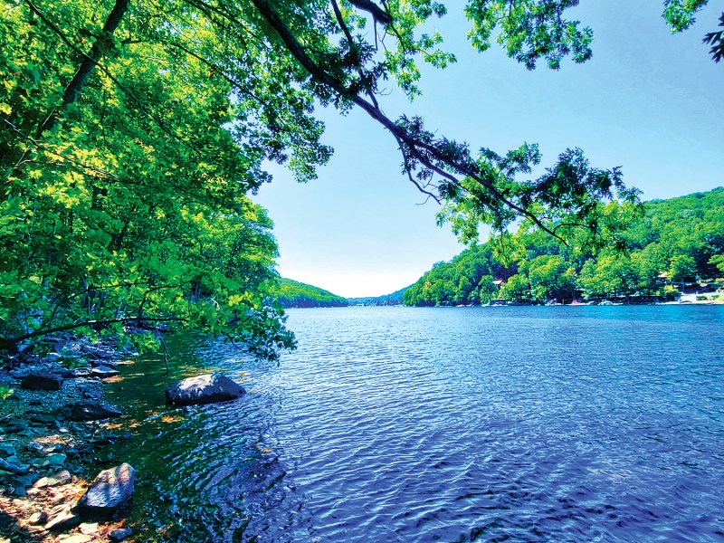 clear blue water, blue skies, and bright green trees