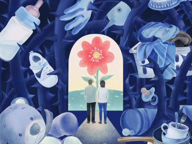 An illustration of a couple facing a doorway to a flower. Around them float large baby paphernalia like bottles and teddy bears