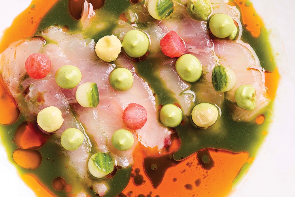 The branzino crudo tops sliced fish with lime-and-cilantro aguachile, sliced red onions, avocado crema and little pickled spheres of cucumber and radish.